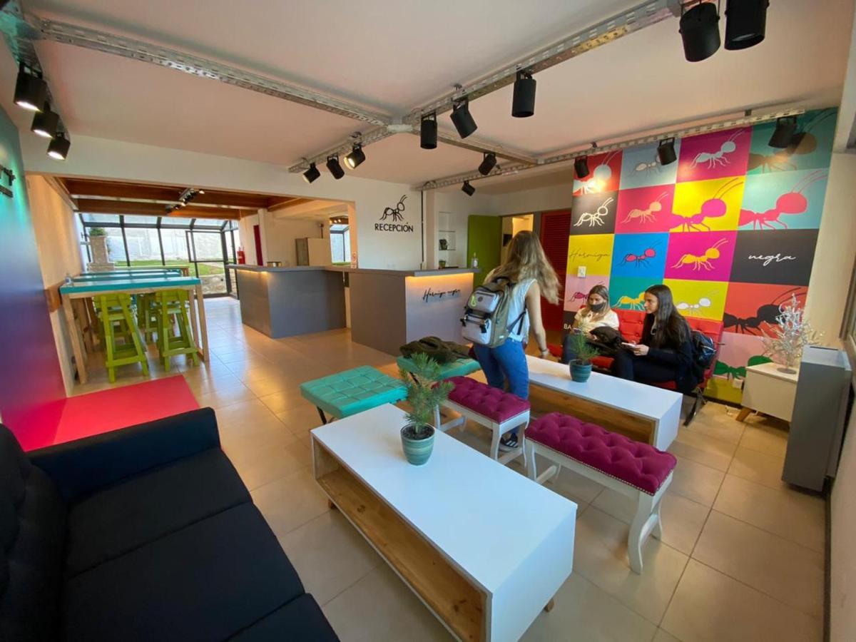 Hostel Hormiga Negra Сан-Карлос-де-Барилоче Экстерьер фото